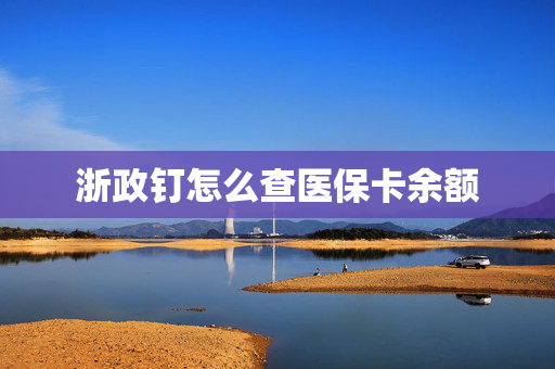 浙政钉怎么查医保卡余额