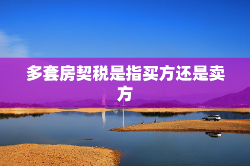 多套房契税是指买方还是卖方