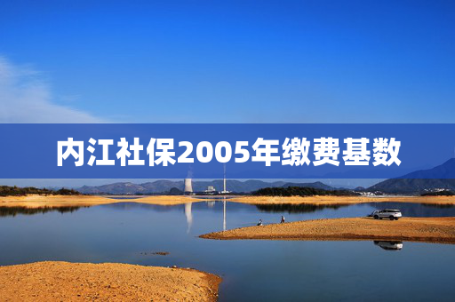 内江社保2005年缴费基数