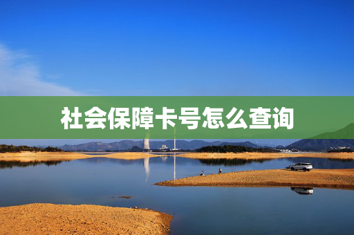 社会保障卡号怎么查询