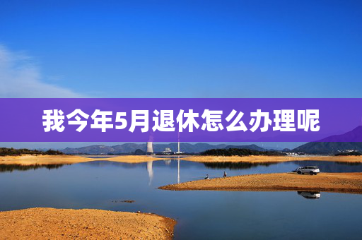 我今年5月退休怎么办理呢