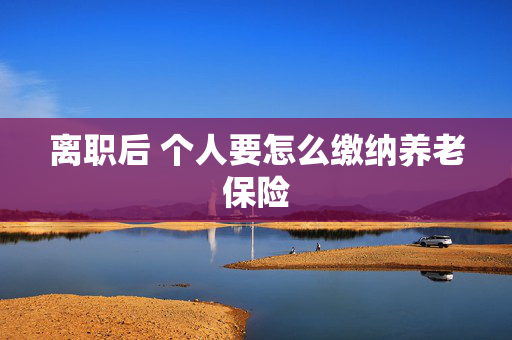 离职后 个人要怎么缴纳养老保险