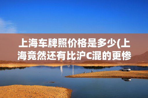 上海车牌照价格是多少(上海竟然还有比沪C混的更惨的车牌？)