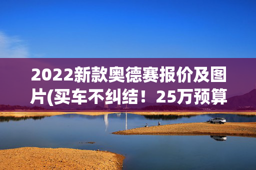 2022新款奥德赛报价及图片(买车不纠结！25万预算，这些7座MPV值得你考虑)