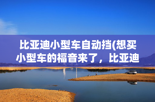 比亚迪小型车自动挡(想买小型车的福音来了，比亚迪将智驾标准化，长续航＋冰箱)