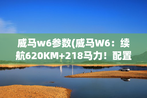 威马w6参数(威马W6：续航620KM+218马力！配置丰富，值不值得入手？)