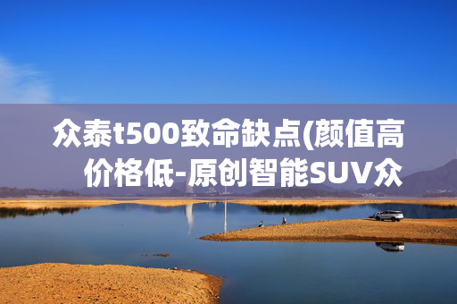 众泰t500致命缺点(颜值高　价格低-原创智能SUV众泰T500上市)