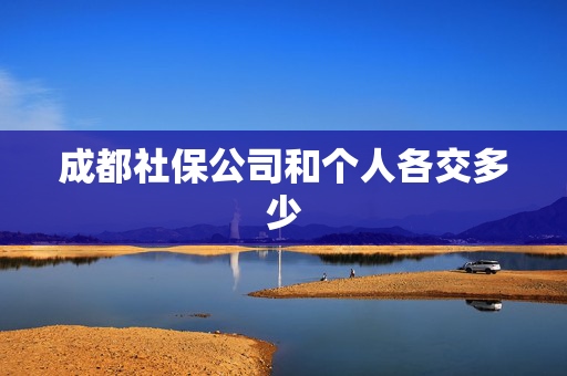 成都社保公司和个人各交多少