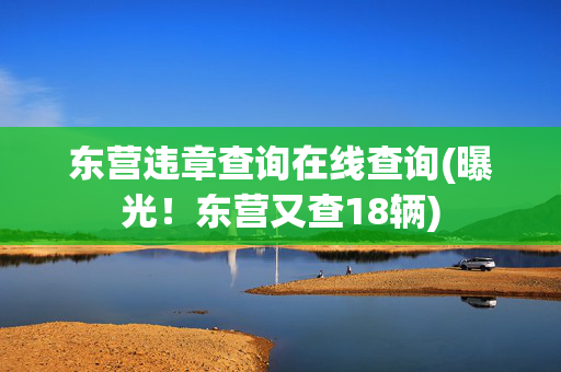 东营违章查询在线查询(曝光！东营又查18辆)
