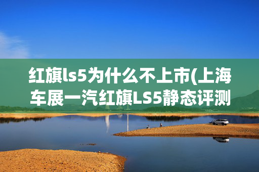 红旗ls5为什么不上市(上海车展一汽红旗LS5静态评测)