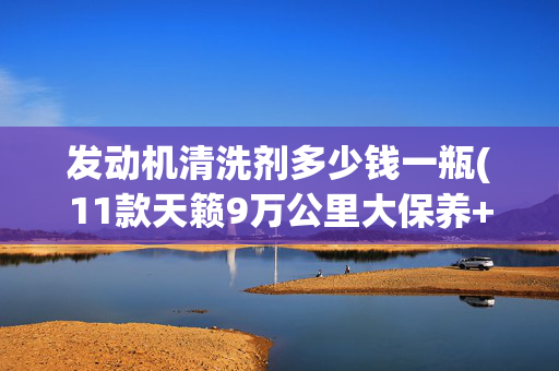 发动机清洗剂多少钱一瓶(11款天籁9万公里大保养+力魔清洗剂+力魔陶瓷保护剂)