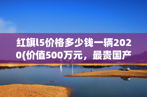 红旗l5价格多少钱一辆2020(价值500万元，最贵国产车红旗L5国宾车街拍。)