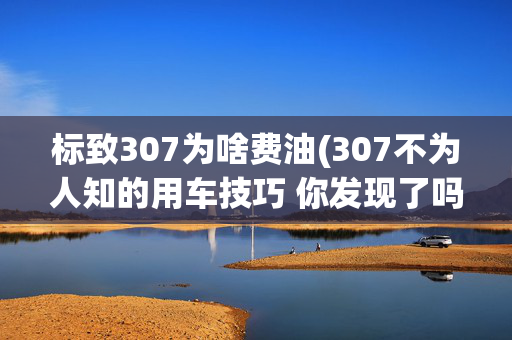 标致307为啥费油(307不为人知的用车技巧 你发现了吗？)