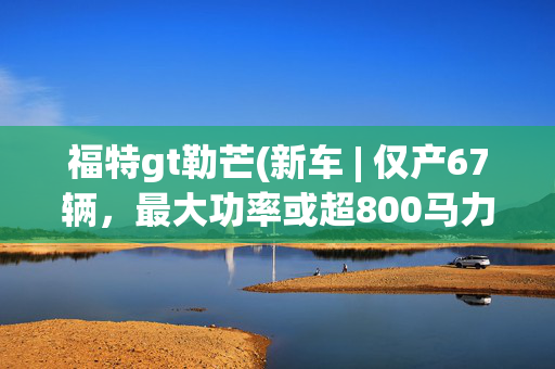 福特gt勒芒(新车 | 仅产67辆，最大功率或超800马力，2023款福特GT Mk IV官图)