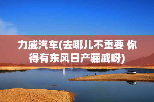 力威汽车(去哪儿不重要 你得有东风日产骊威呀)