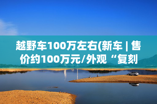 越野车100万左右(新车 | 售价约100万元/外观“复刻”路虎卫士 英力士掷弹兵暂停生产)