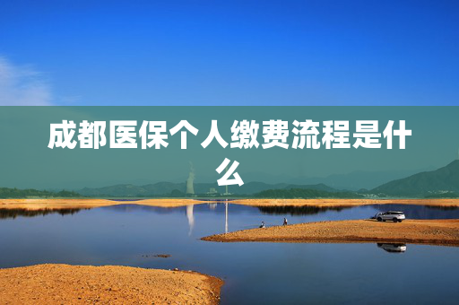 成都医保个人缴费流程是什么
