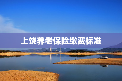 上饶养老保险缴费标准