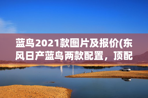 蓝鸟2021款图片及报价(东风日产蓝鸟两款配置，顶配13.39万，哪款配置才是性价比之王？)
