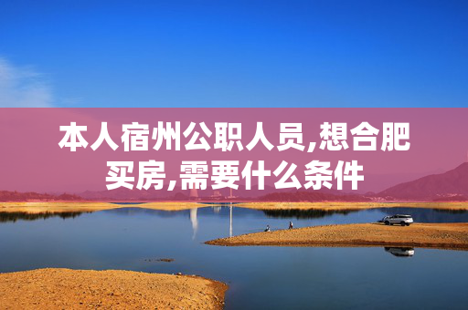 本人宿州公职人员,想合肥买房,需要什么条件