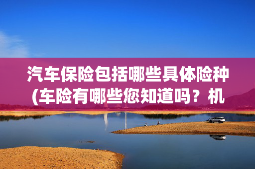 汽车保险包括哪些具体险种(车险有哪些您知道吗？机动车辆保险小百科)