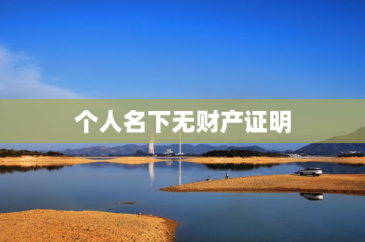个人名下无财产证明