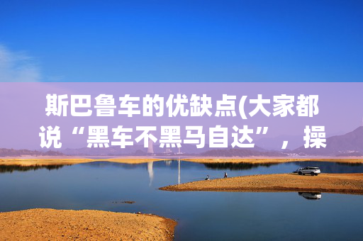 斯巴鲁车的优缺点(大家都说“黑车不黑马自达”，操控无敌的马自达为何叫好不叫座？)