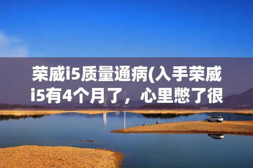 荣威i5质量通病(入手荣威i5有4个月了，心里憋了很多话，今天说出它的小毛病！)