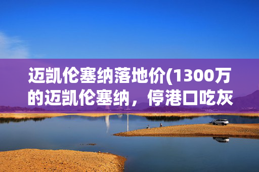 迈凯伦塞纳落地价(1300万的迈凯伦塞纳，停港口吃灰3年，网友：车衣都不配有)