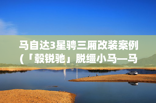 马自达3星骋三厢改装案例(「毂锐驰」脱缰小马—马自达3改装涡轮增压)