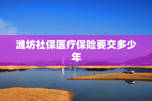 潍坊社保医疗保险要交多少年