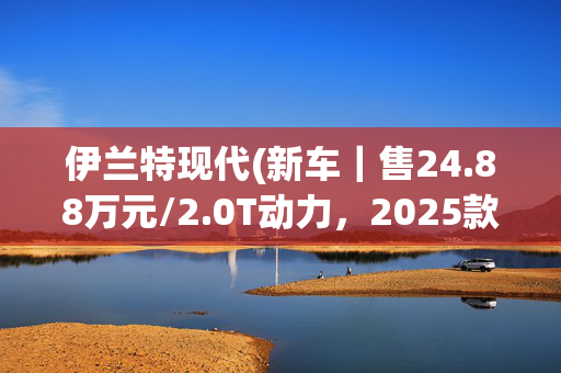 伊兰特现代(新车｜售24.88万元/2.0T动力，2025款现代伊兰特Elantra N到店)