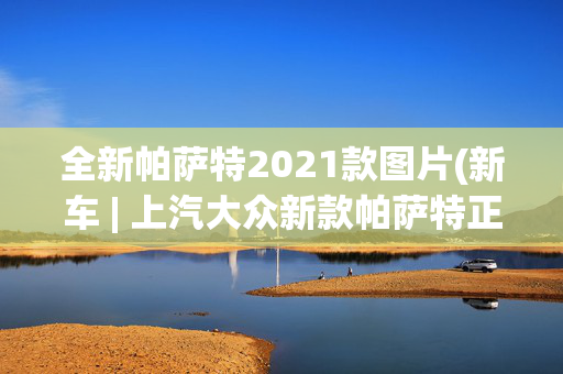 全新帕萨特2021款图片(新车 | 上汽大众新款帕萨特正式亮相，提供两种外观风格，车长增加)