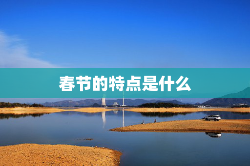 春节的特点是什么