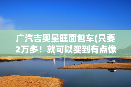 广汽吉奥星旺面包车(只要2万多！就可以买到有点像奥迪风格的面包车！)