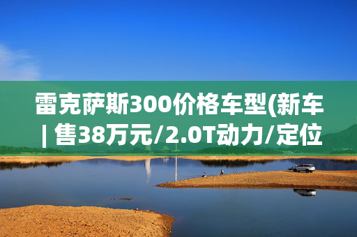 雷克萨斯300价格车型(新车 | 售38万元/2.0T动力/定位入门版，曝雷克萨斯RX 300骏享版实车)