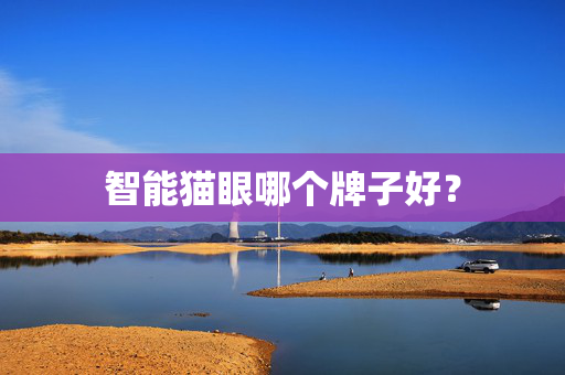 智能猫眼哪个牌子好？