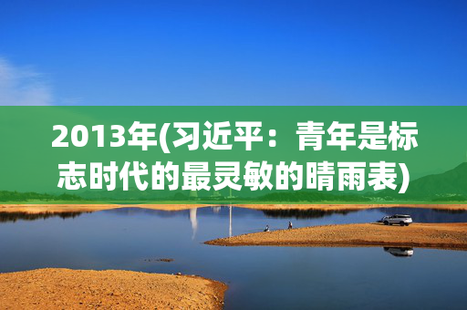 2013年(习近平：青年是标志时代的最灵敏的晴雨表)