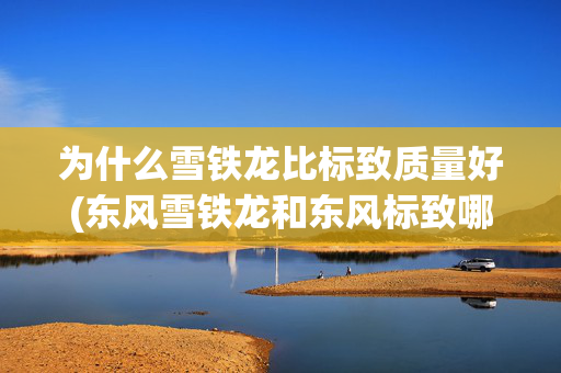 为什么雪铁龙比标致质量好(东风雪铁龙和东风标致哪个更好?)