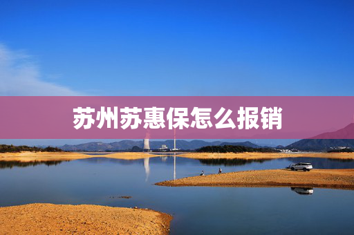 苏州苏惠保怎么报销