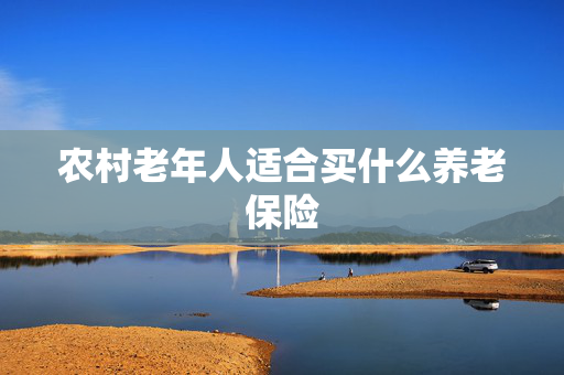 农村老年人适合买什么养老保险