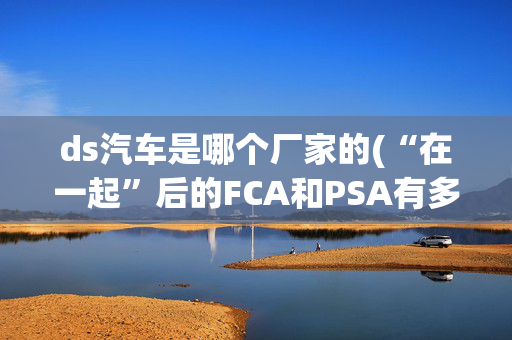 ds汽车是哪个厂家的(“在一起”后的FCA和PSA有多达15个汽车品牌，你认识几个？)