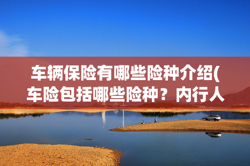车辆保险有哪些险种介绍(车险包括哪些险种？内行人说出了真相，错过后悔……)
