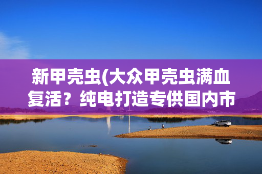 新甲壳虫(大众甲壳虫满血复活？纯电打造专供国内市场，换头换尾颜值能行吗)