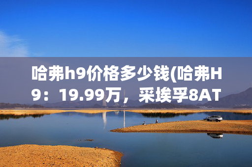 哈弗h9价格多少钱(哈弗H9：19.99万，采埃孚8AT+四驱！国产硬派，尺寸比肩“大G”！)