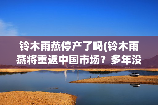 铃木雨燕停产了吗(铃木雨燕将重返中国市场？多年没见，它还能打吗)