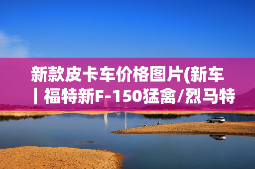 新款皮卡车价格图片(新车｜福特新F-150猛禽/烈马特别版上海车展亮相 现款29.98万元起)
