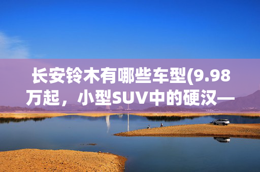 长安铃木有哪些车型(9.98万起，小型SUV中的硬汉——长安铃木维特拉)