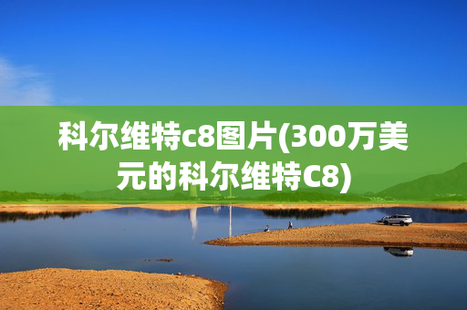 科尔维特c8图片(300万美元的科尔维特C8)