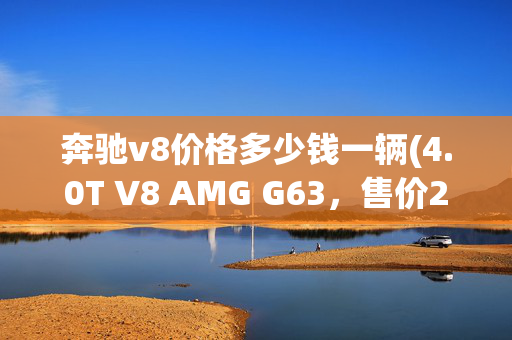 奔驰v8价格多少钱一辆(4.0T V8 AMG G63，售价245万，加价破300万)